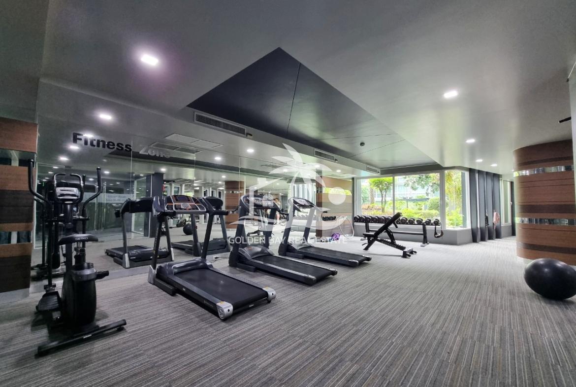 Apus – Pattaya City