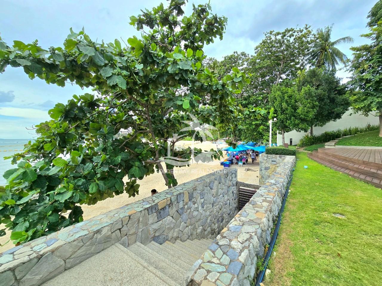 The Cove – Wongamat