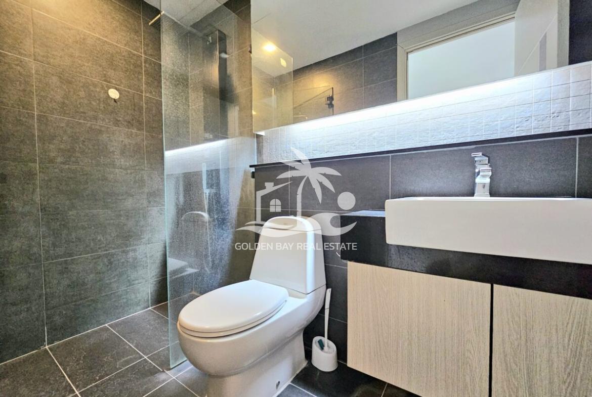 Apus – Pattaya City