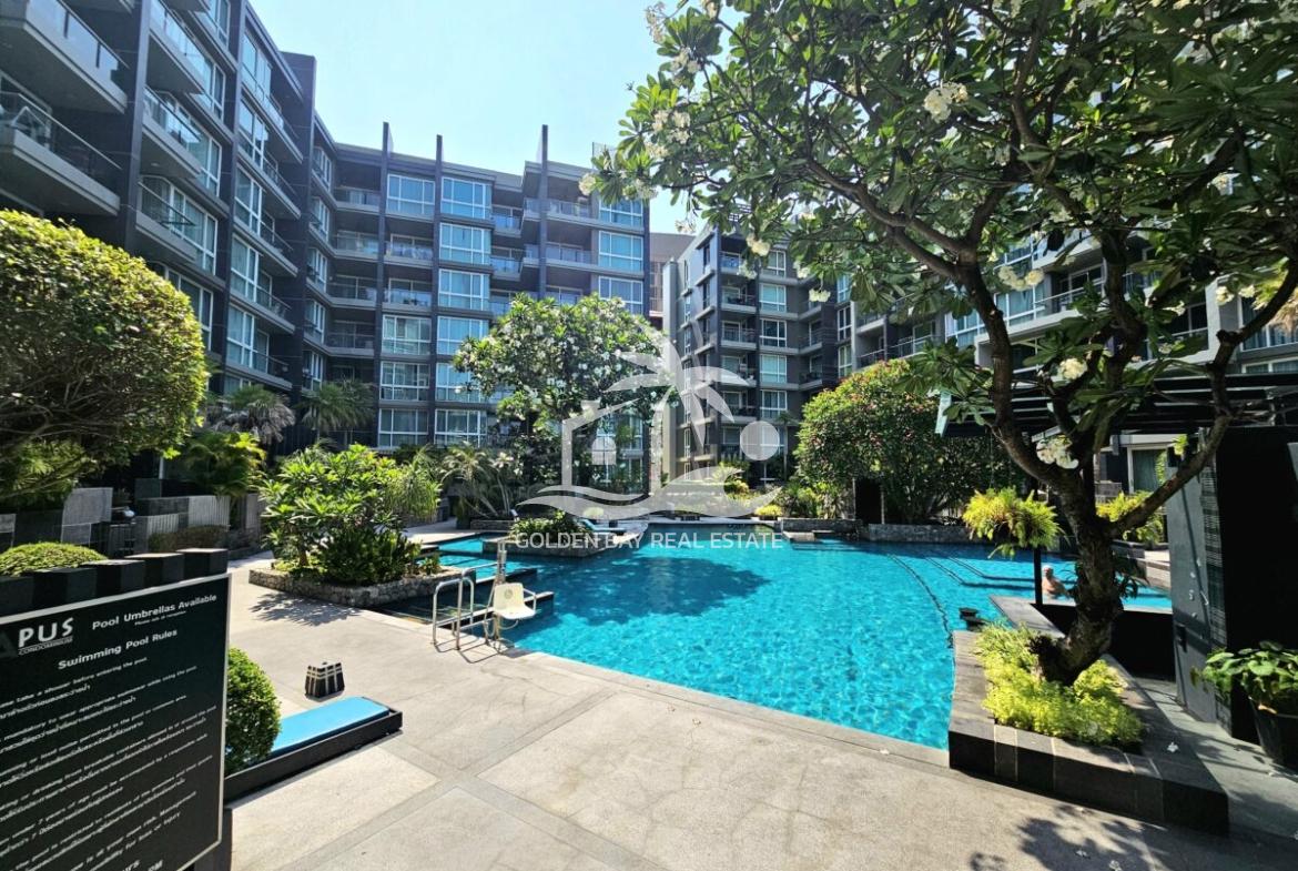 Apus – Pattaya City