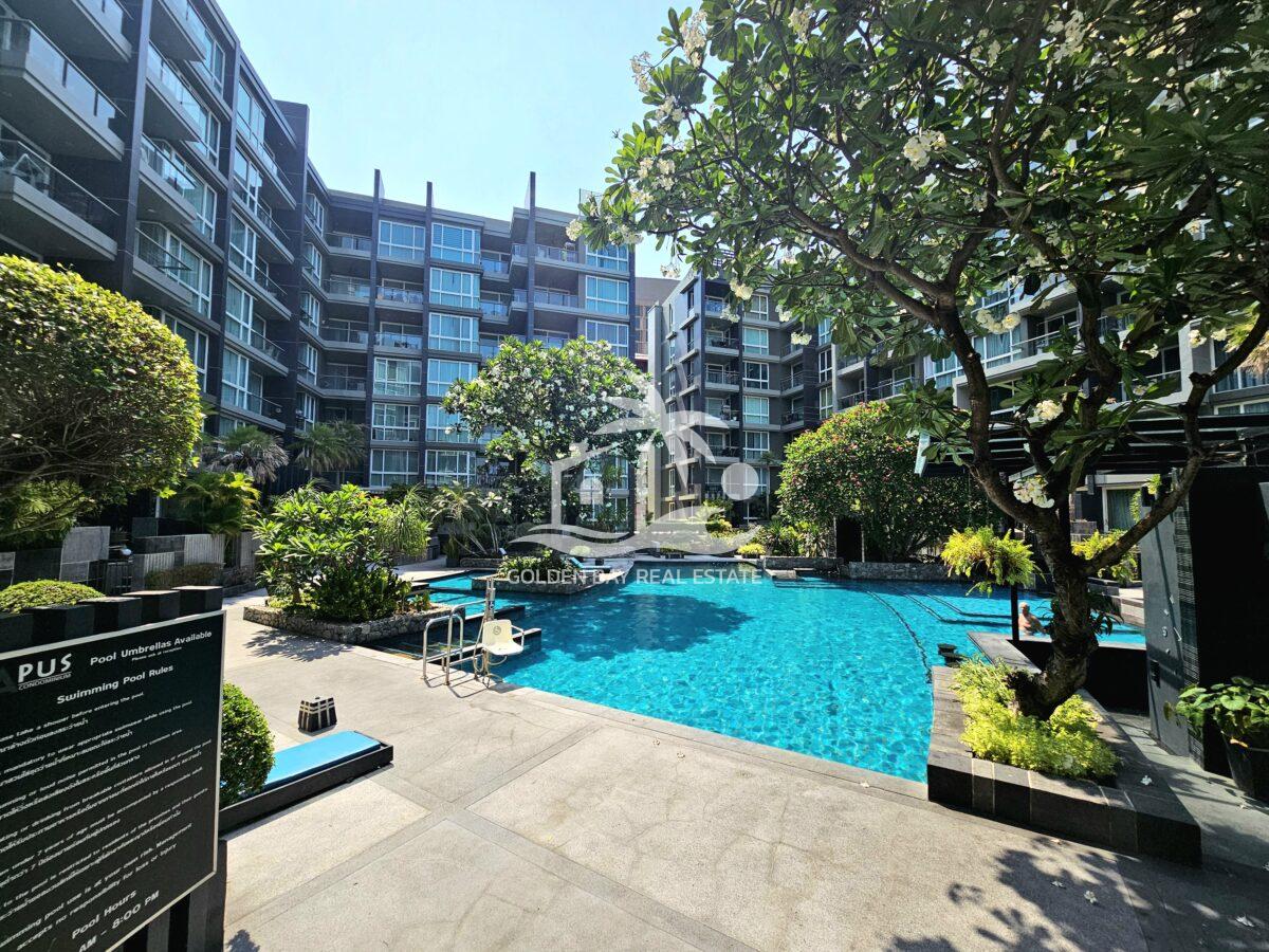 Apus – Pattaya City