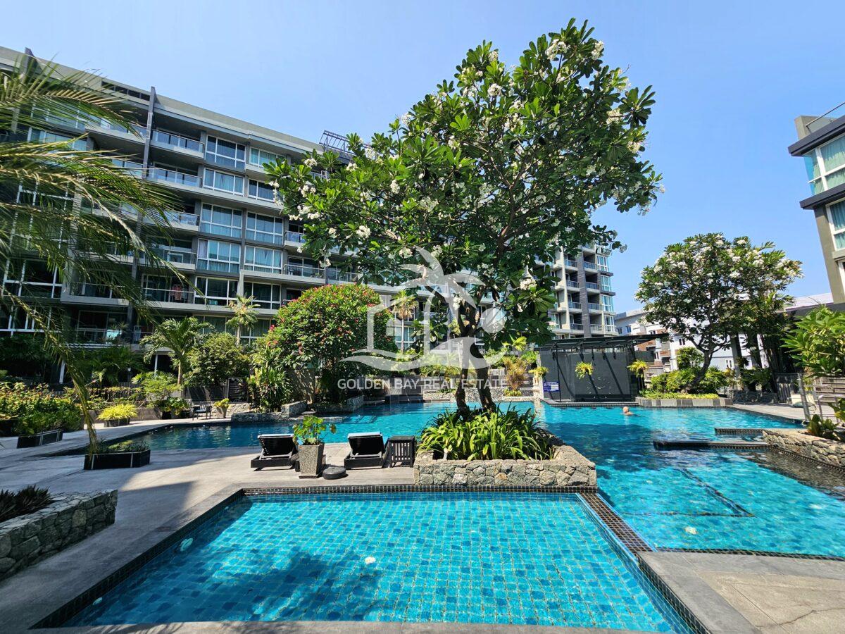 Apus – Pattaya City