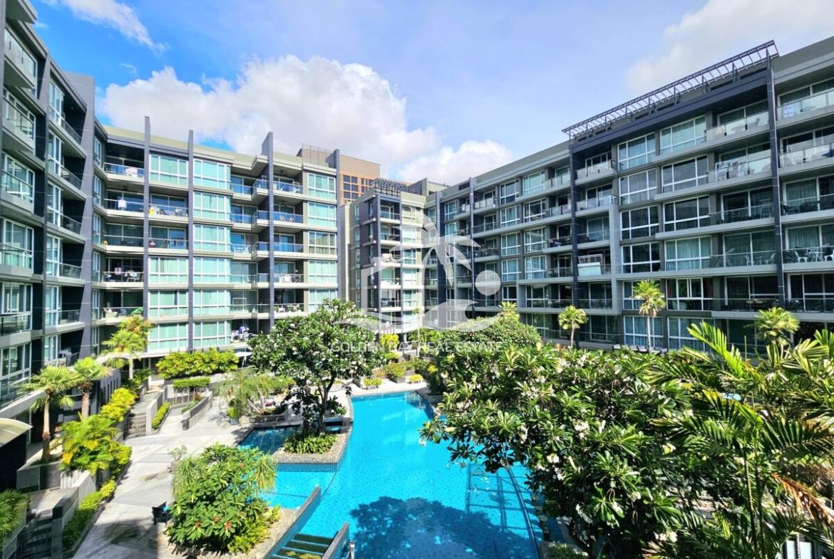 Apus – Pattaya City